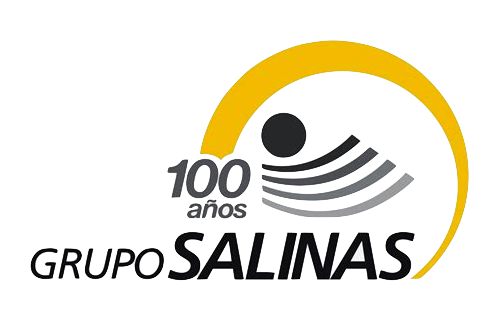 Grupo Salinas